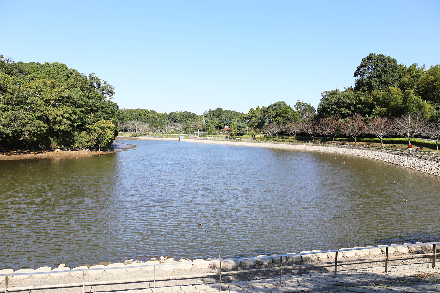 坂田ヶ池総合公園