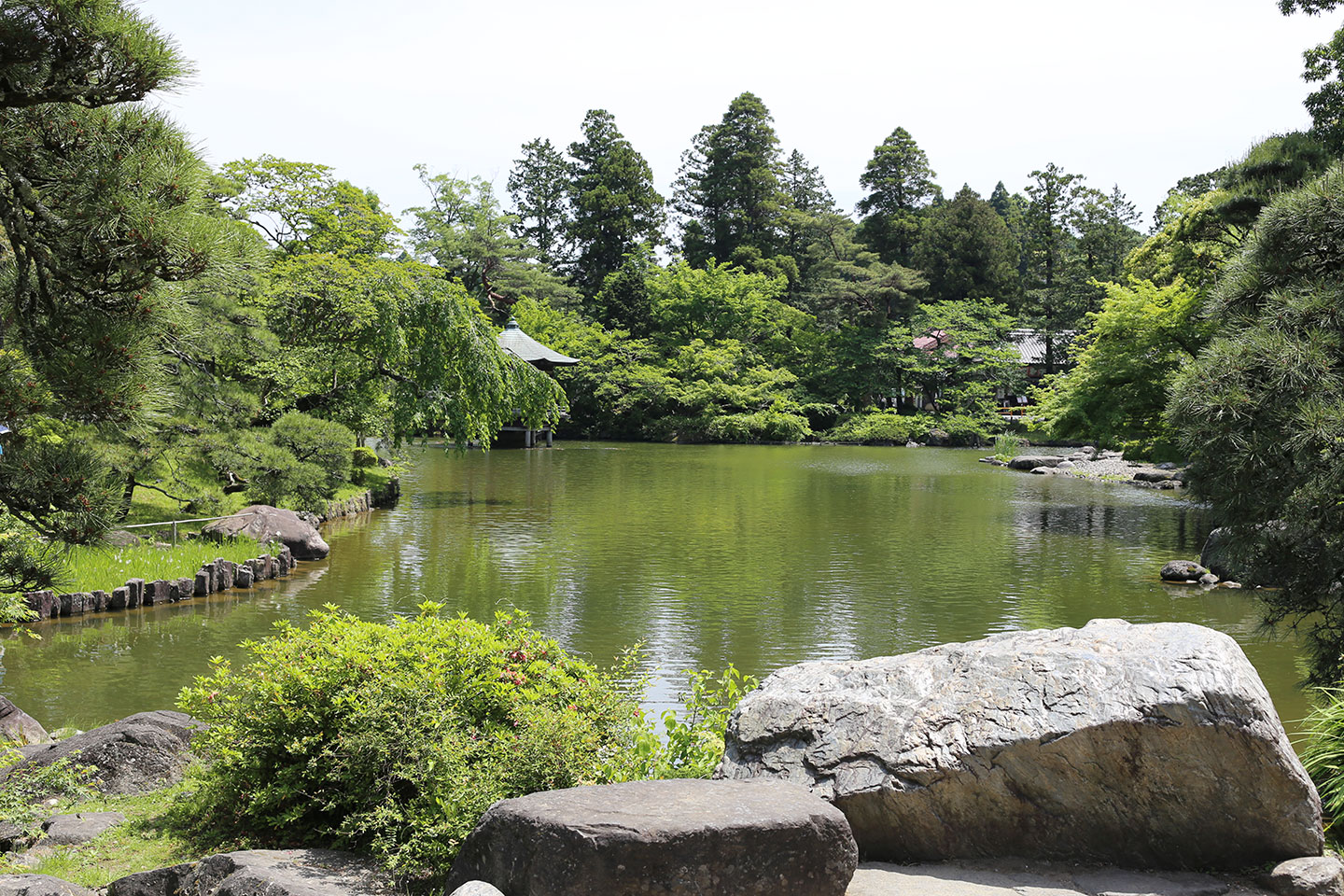 成田山　公園　池