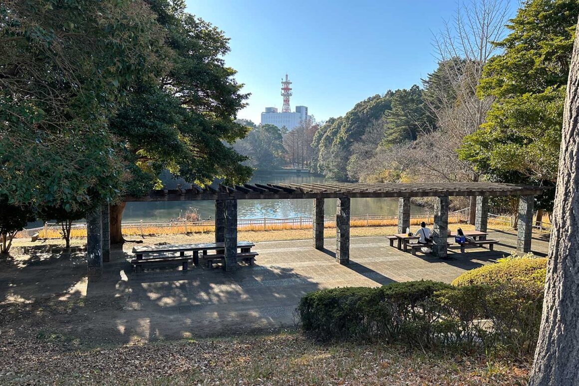 成田市　赤坂公園　池　ピクニック